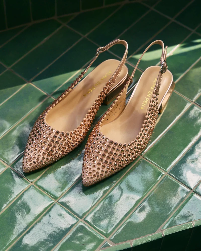 ZAPATO PLANO DETALLES