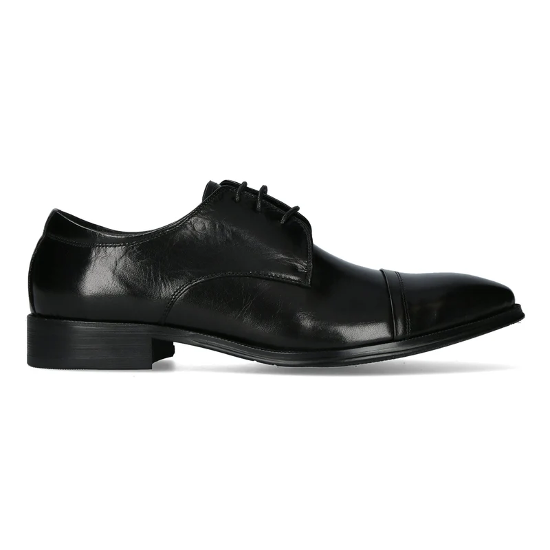 Chaussure Homme METAYER